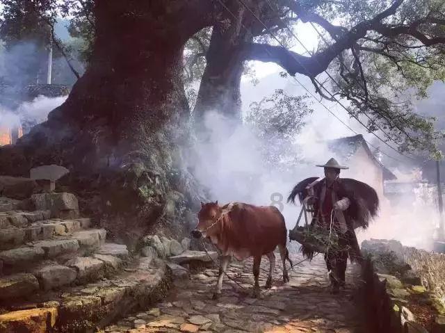 精彩乒乓球赛